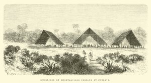 Viviendas de los Indios Chontaquiros en Consaya de Edouard Riou